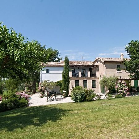 Vigna Sant' Amico Country House Morro dʼAlba المظهر الخارجي الصورة