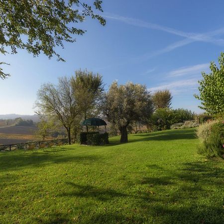 Vigna Sant' Amico Country House Morro dʼAlba المظهر الخارجي الصورة