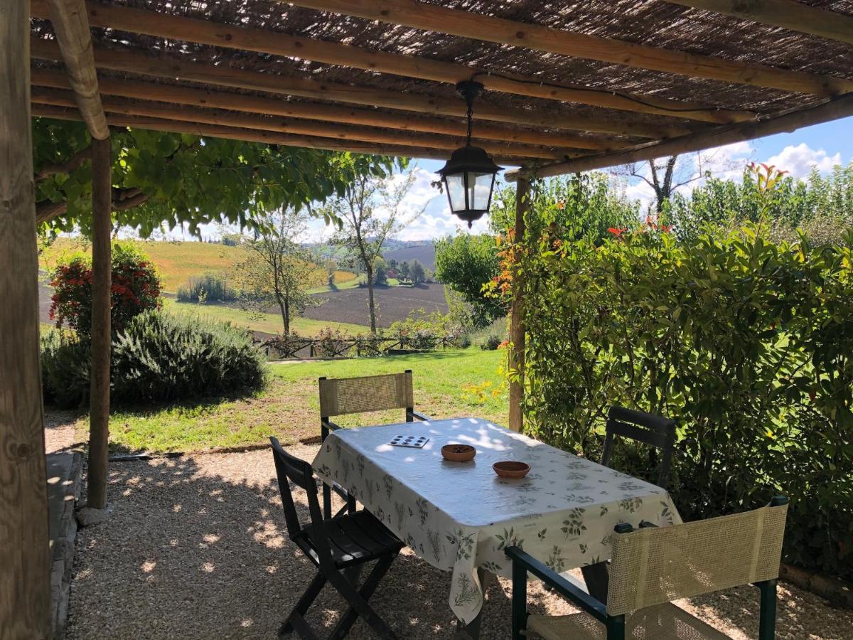 Vigna Sant' Amico Country House Morro dʼAlba المظهر الخارجي الصورة