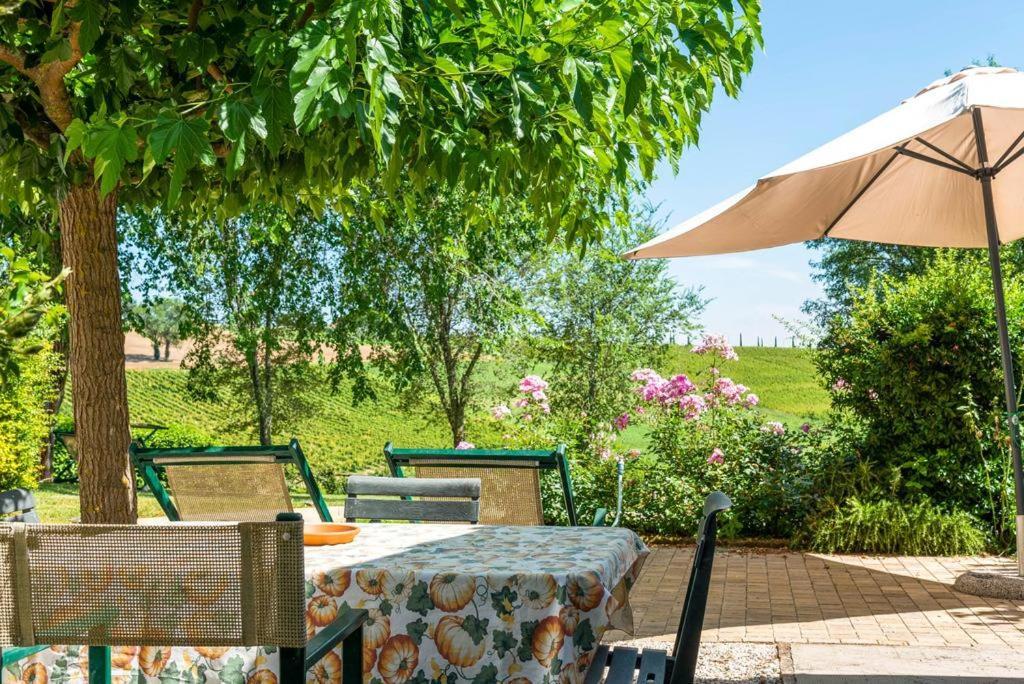 Vigna Sant' Amico Country House Morro dʼAlba المظهر الخارجي الصورة