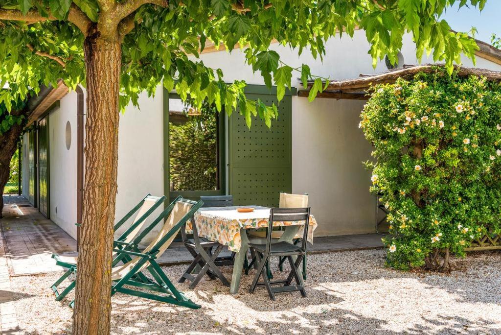 Vigna Sant' Amico Country House Morro dʼAlba المظهر الخارجي الصورة