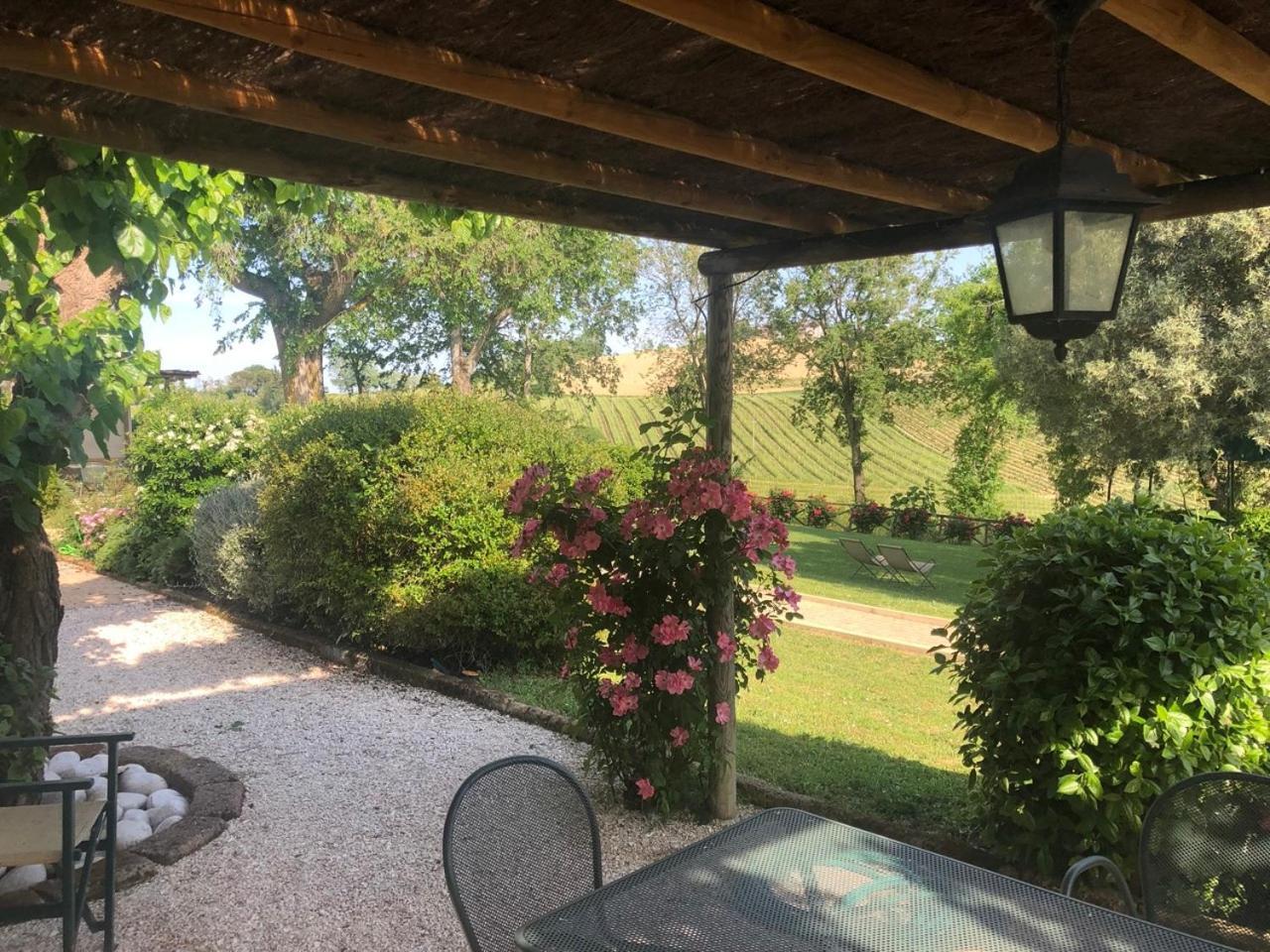 Vigna Sant' Amico Country House Morro dʼAlba المظهر الخارجي الصورة