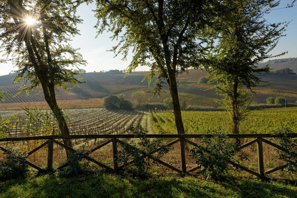 Vigna Sant' Amico Country House Morro dʼAlba المظهر الخارجي الصورة