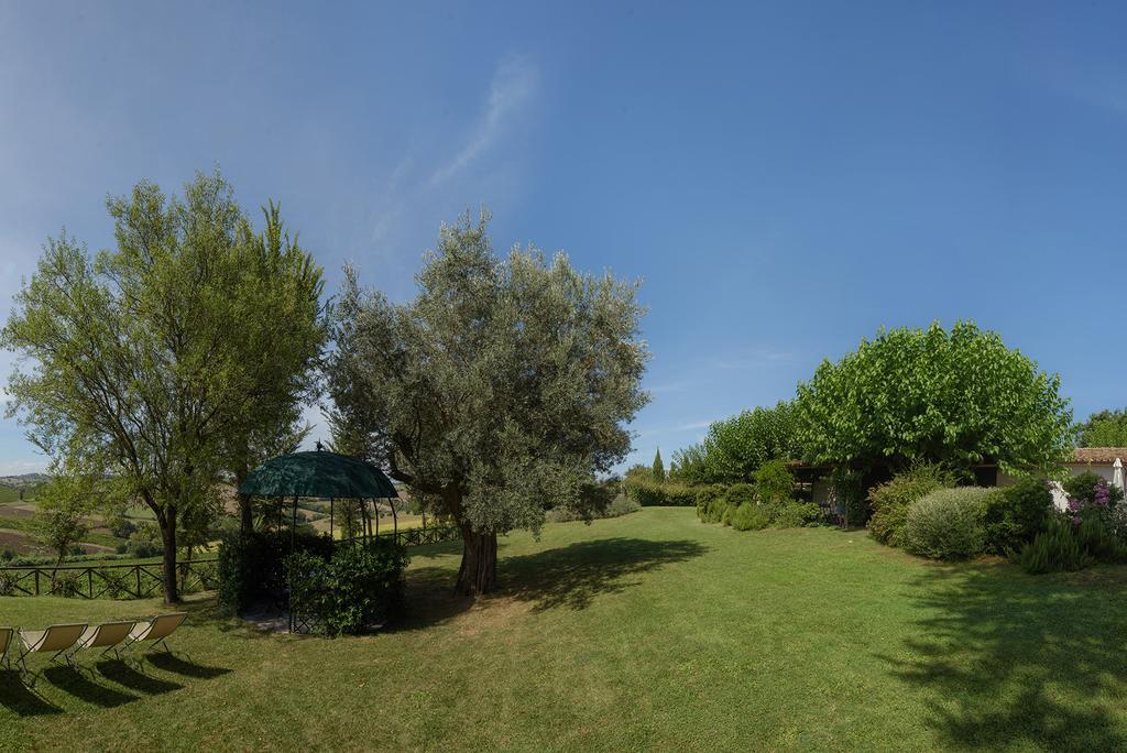 Vigna Sant' Amico Country House Morro dʼAlba المظهر الخارجي الصورة