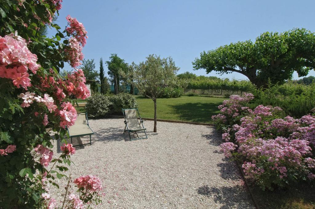 Vigna Sant' Amico Country House Morro dʼAlba المظهر الخارجي الصورة